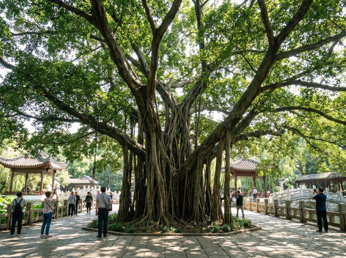 海角网社区顾问王雅琴